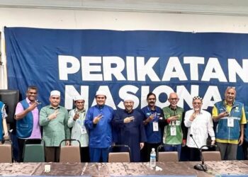 Illegal Pig Farm Issue Won’t Shake Non-Malay Support for PN, Says DHPP