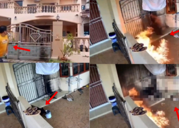 Anjing hampir rentung dilempar molotov: Persatuan Haiwan Malaysia desak siasatan di bawah Akta Kebajikan Haiwan