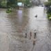 Banjir: Semua 50 daerah di Bangkok diisytihar zon bencana