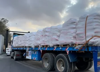 Lebih 280 lori bantuan makanan masuki Gaza atasi kekurangan bekalan roti – ERC